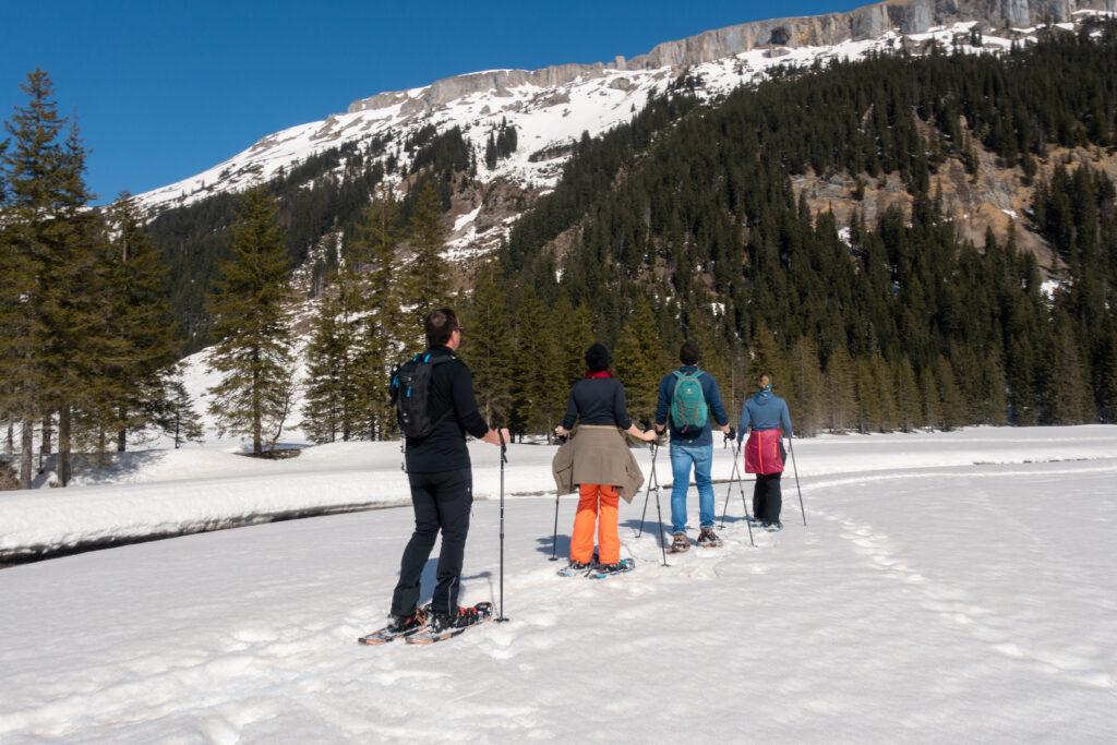 Schneeschuhwandern